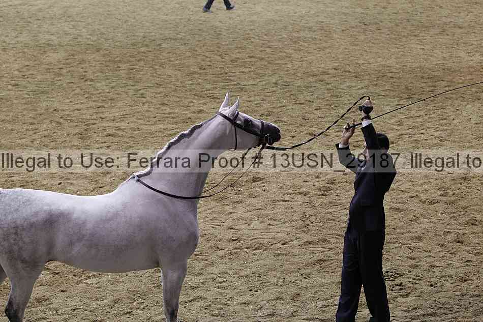 Proof 13usn_29187