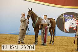 13usn_29204 proof