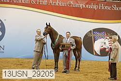 13usn_29205 proof