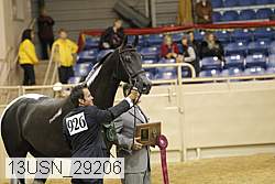 13usn_29206 proof