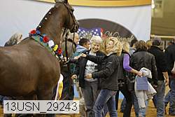 13usn_29243 proof