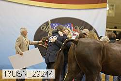 13usn_29244 proof