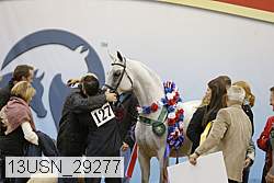 13usn_29277 proof