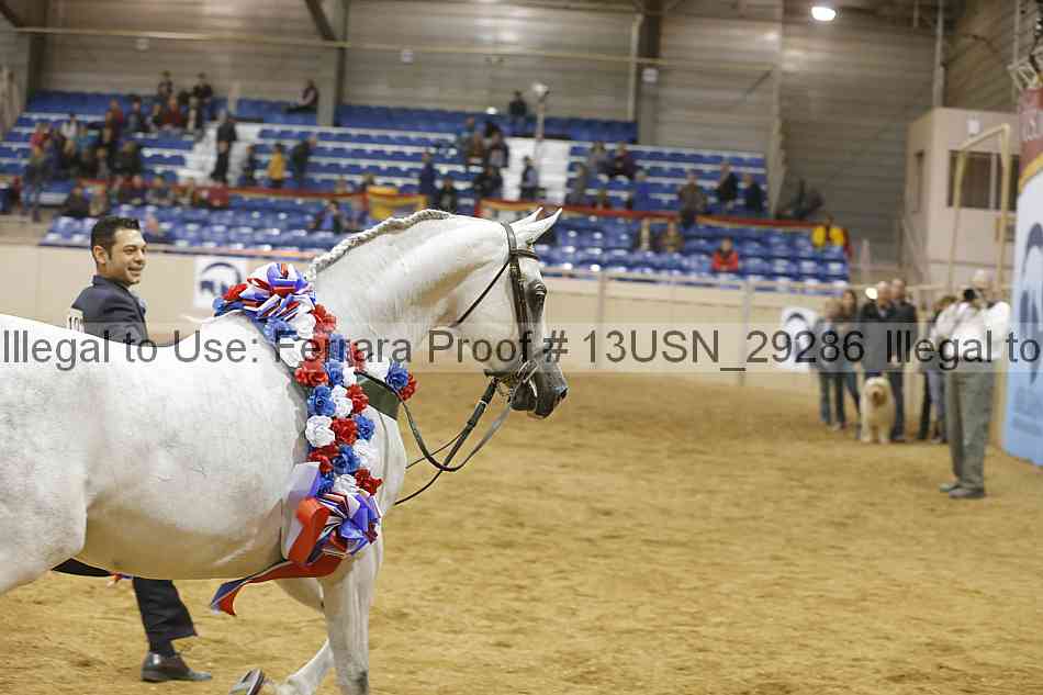 Proof 13usn_29286