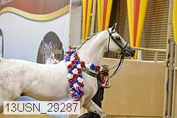 13usn_29287 proof