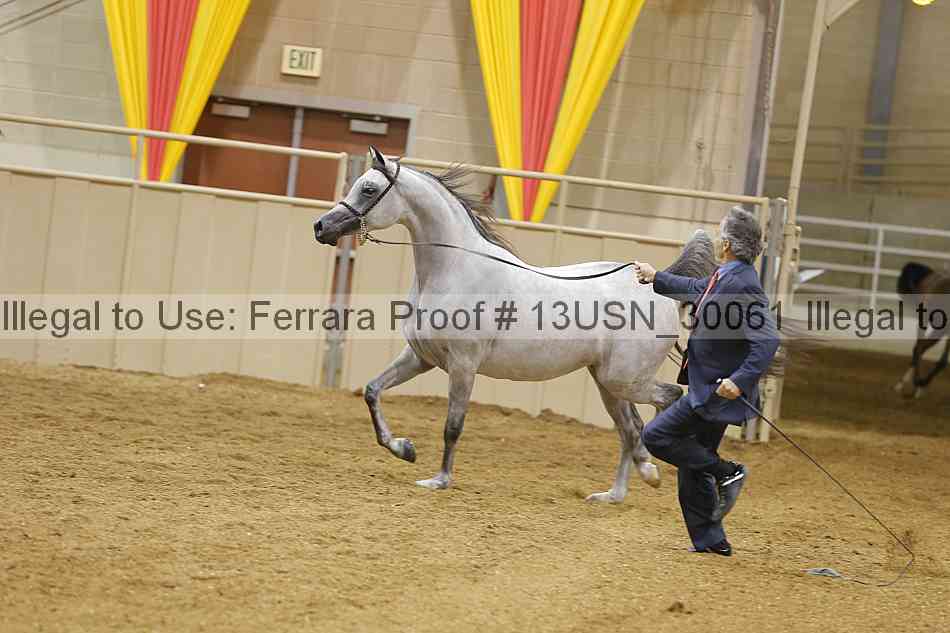 Proof 13usn_30061
