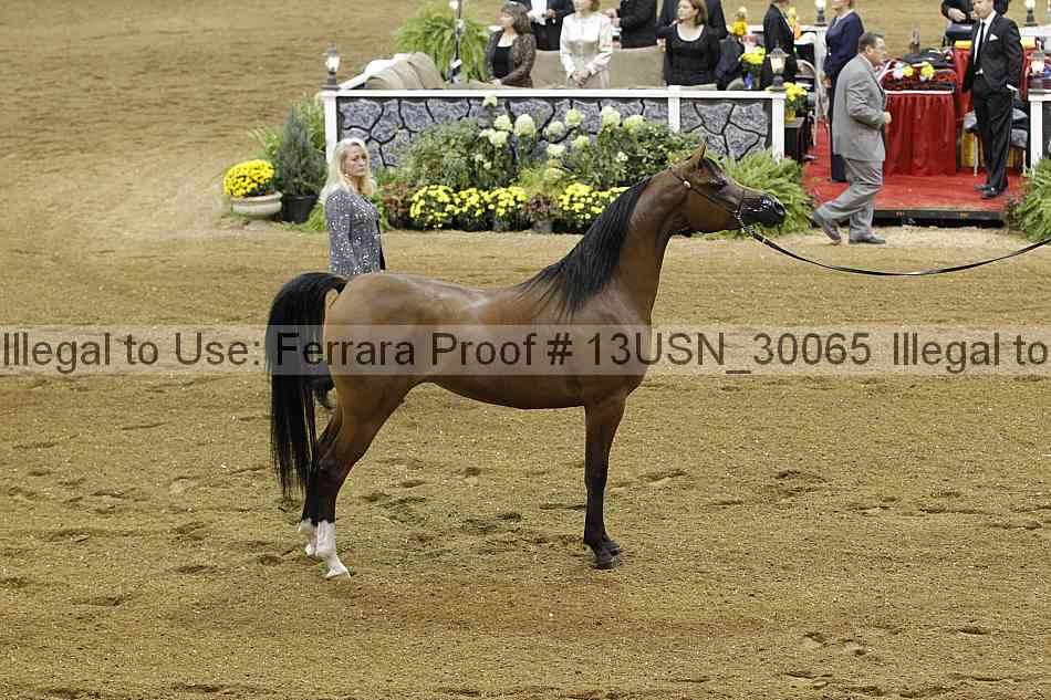 Proof 13usn_30065