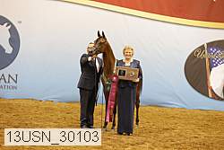 13usn_30103 proof