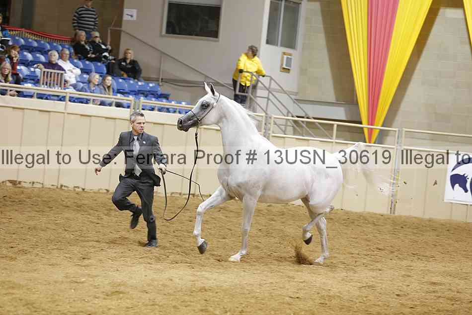 Proof 13usn_30619