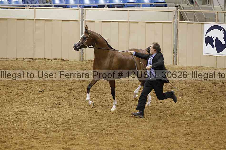 Proof 13usn_30626