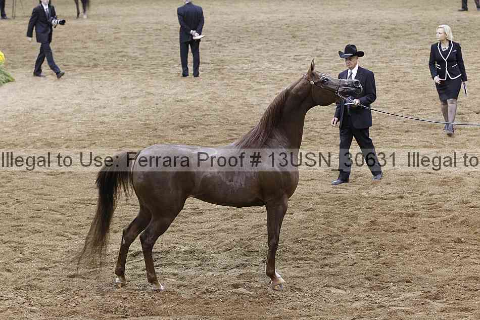 Proof 13usn_30631