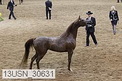 13usn_30631 proof