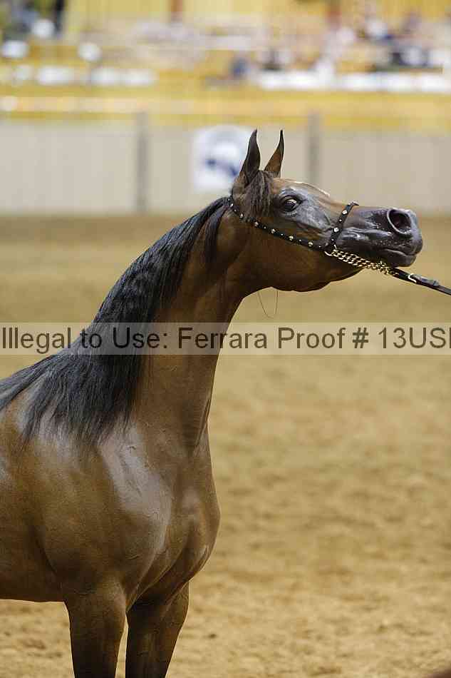 Proof 13usn_30679