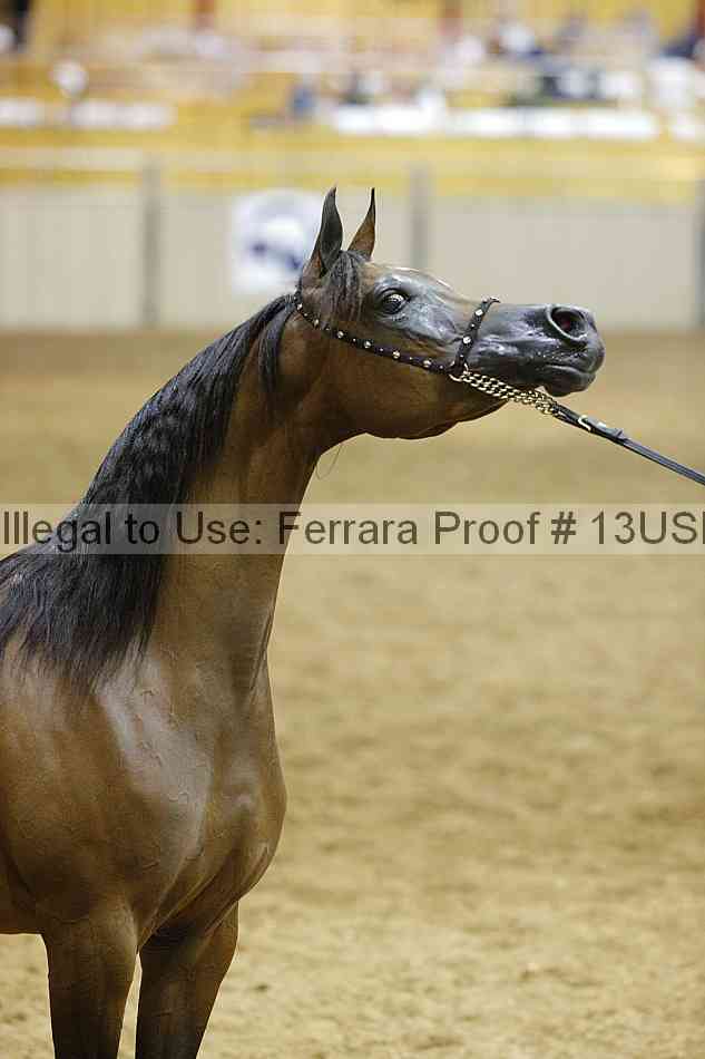 Proof 13usn_30680