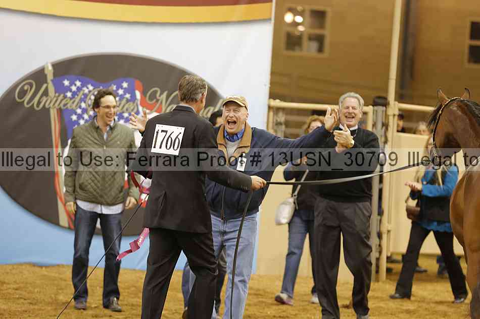 Proof 13usn_30709