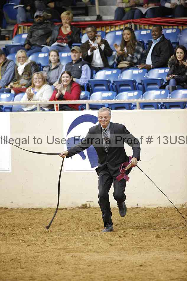 Proof 13usn_30710