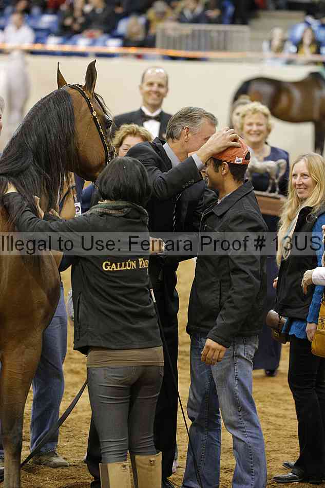Proof 13usn_30726