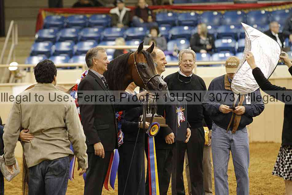 Proof 13usn_30731
