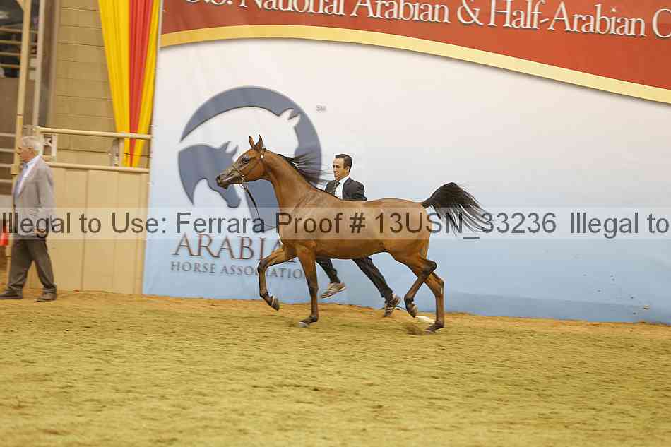Proof 13usn_33236
