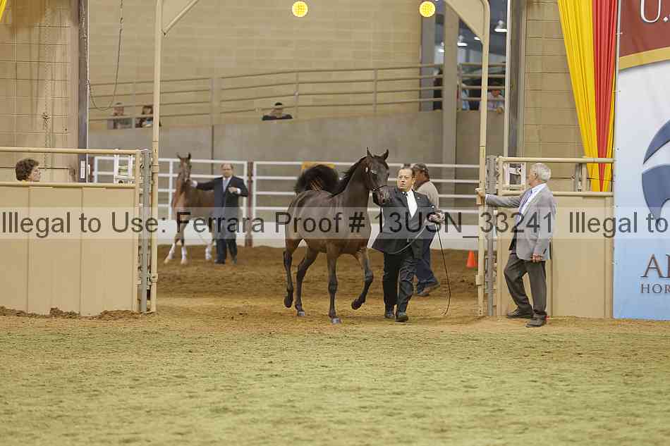 Proof 13usn_33241