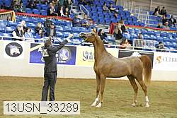 13usn_33289 proof