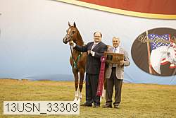 13usn_33308 proof