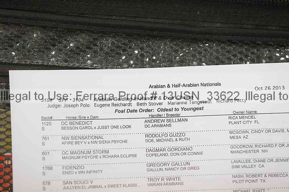 Proof 13usn_33622