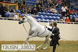 13usn_33632 proof