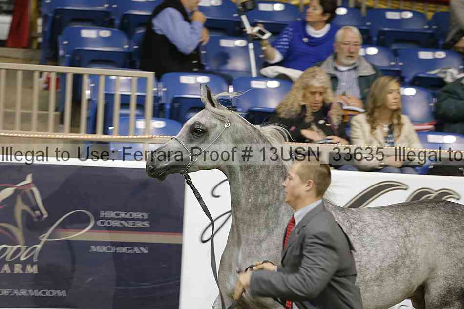 Proof 13usn_33635