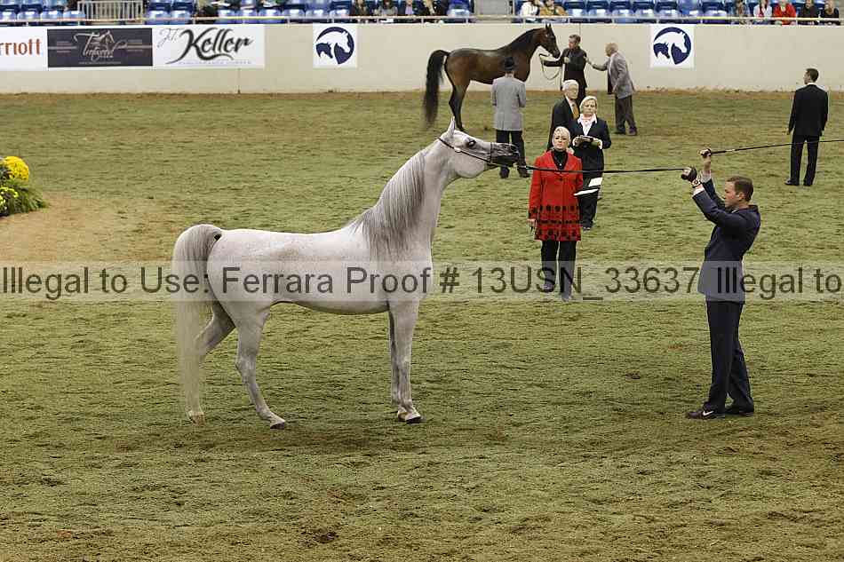 Proof 13usn_33637