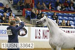 13usn_33642 proof