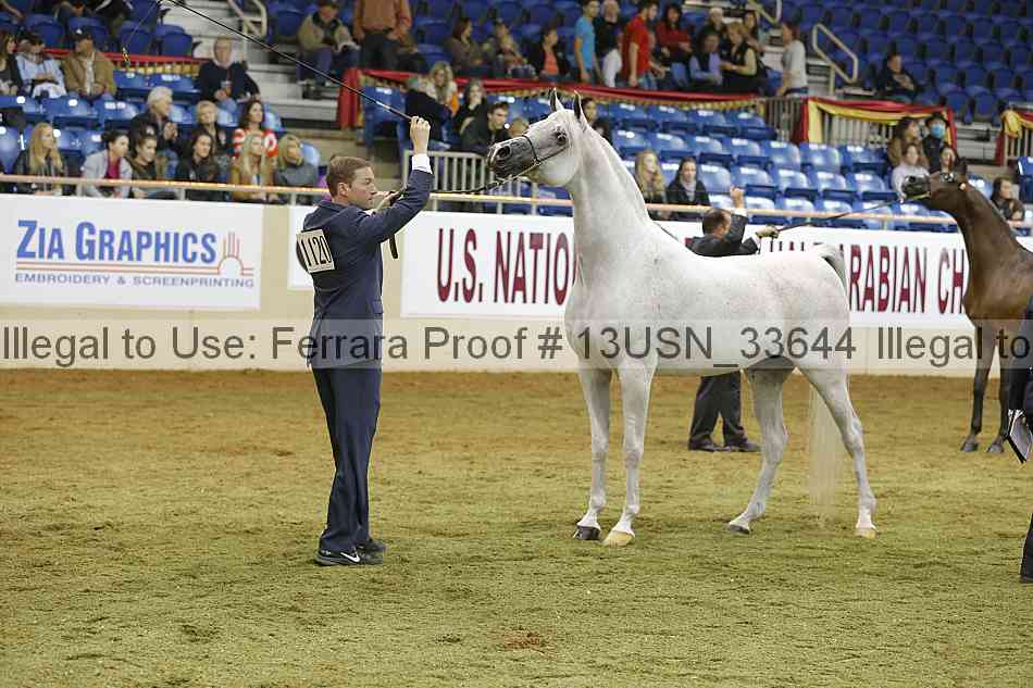 Proof 13usn_33644