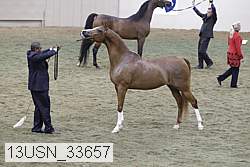 13usn_33657 proof