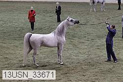 13usn_33671 proof