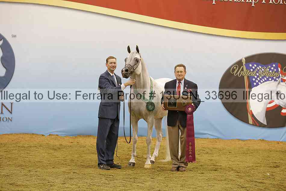 Proof 13usn_33696