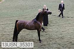 13usn_35301 proof