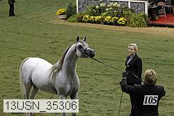 13usn_35306 proof