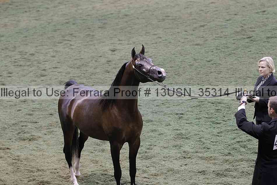 Proof 13usn_35314