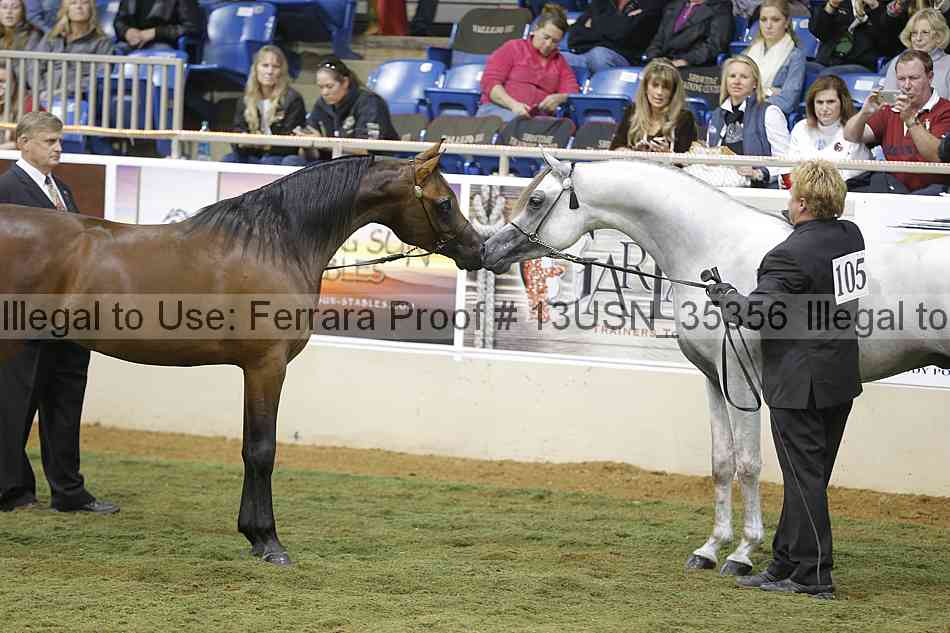 Proof 13usn_35356
