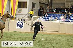 13usn_35399 proof