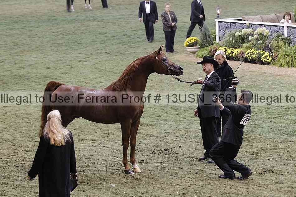 Proof 13usn_36614