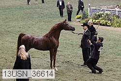 13usn_36614 proof