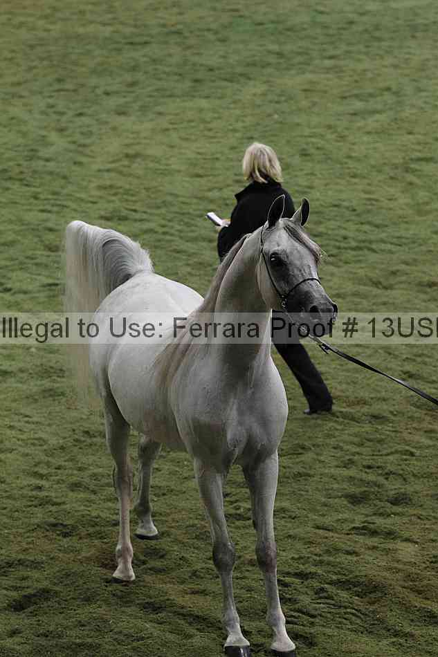 Proof 13usn_36622