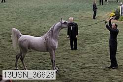 13usn_36628 proof