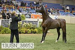 13usn_36652 proof