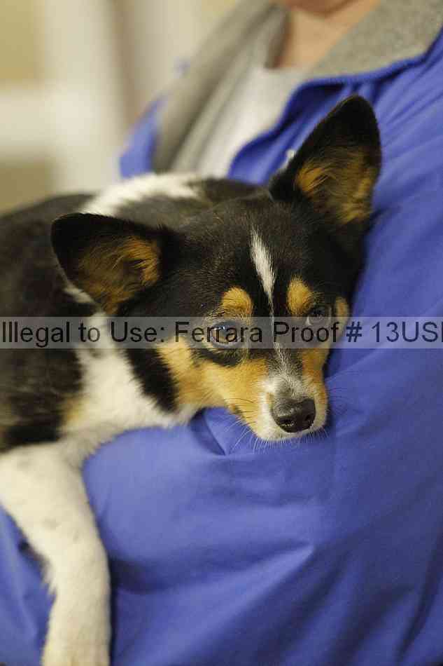 Proof 13usn_02227