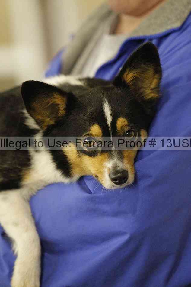 Proof 13usn_02228