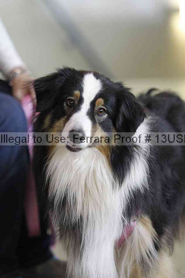 Proof 13usn_06476