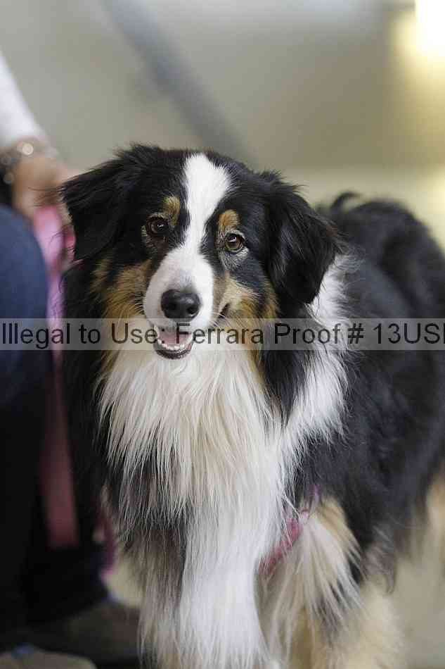 Proof 13usn_06477
