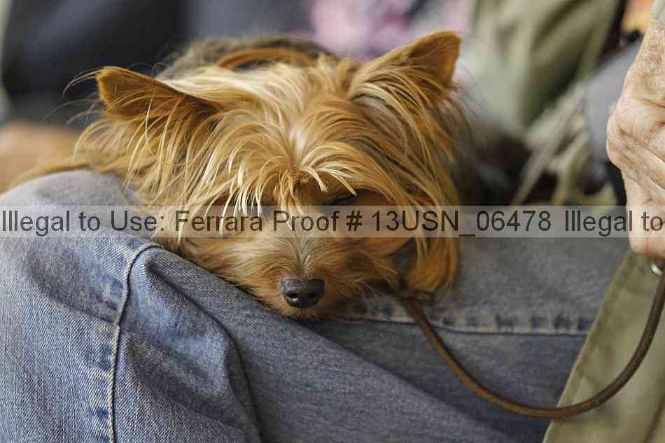 Proof 13usn_06478